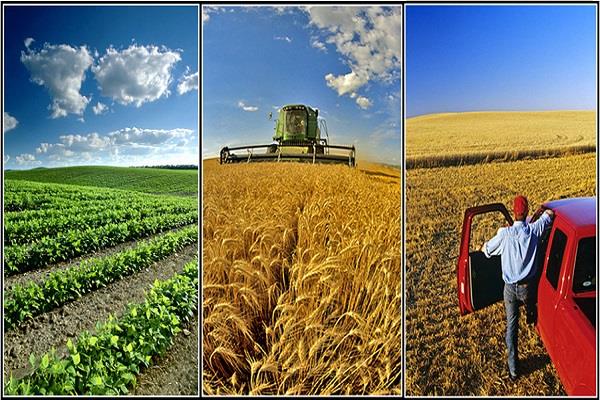 بررسی تاثیر آزادسازی تجاری کشاورزی بر سهم صادرات و واردات بخشهای کشاورزی و خدمات ایران